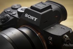 Sony Alpha 7R III - Ausschnitt Vorderansicht